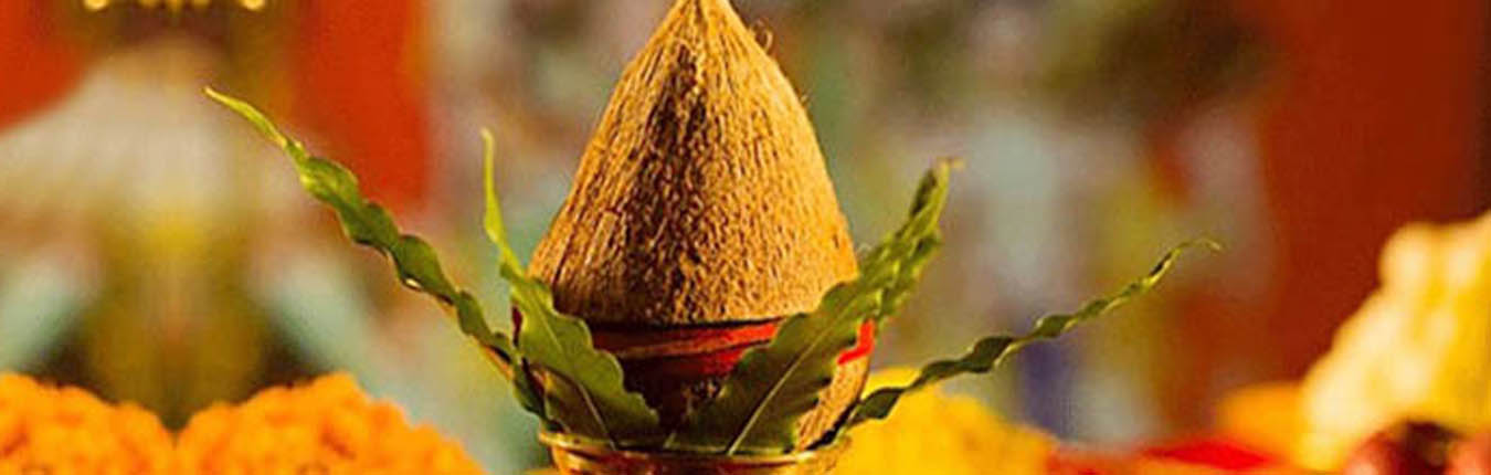 banner-1